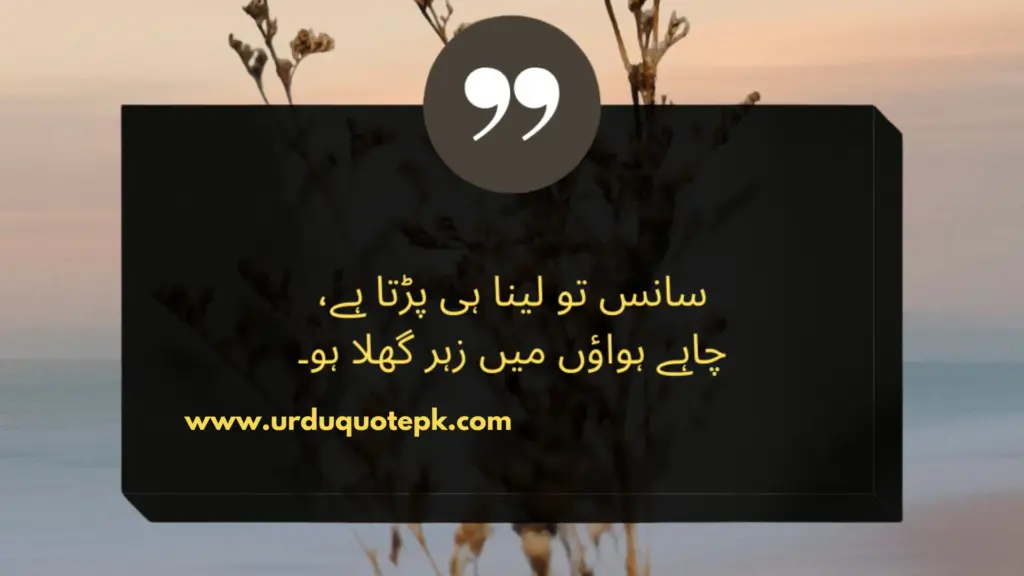 Urduquotepk.com 12