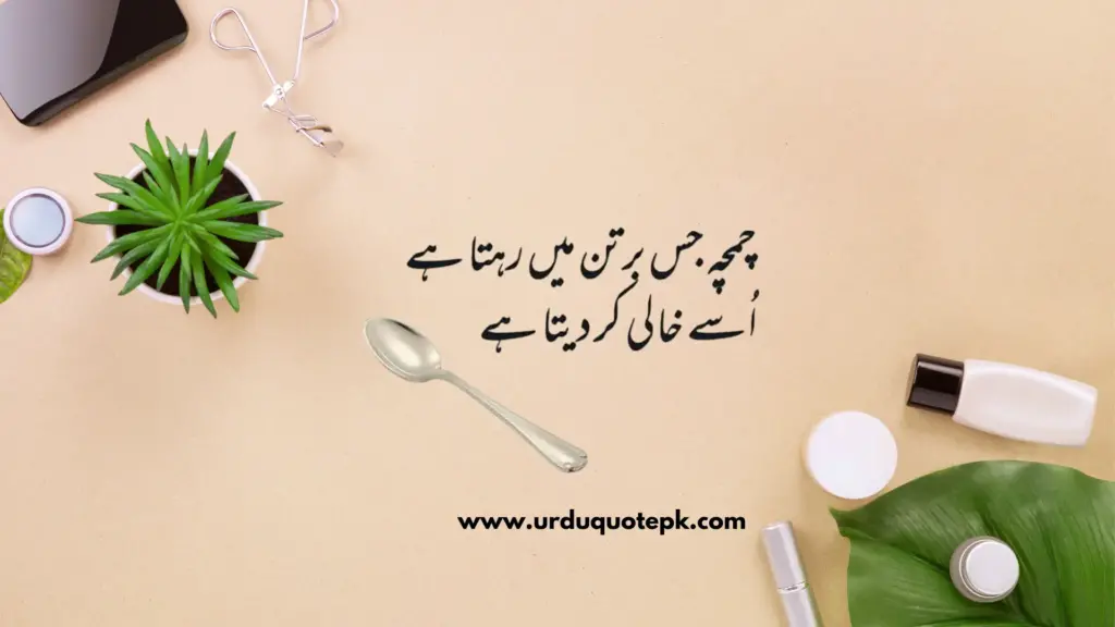 Urduquotepk.com 3