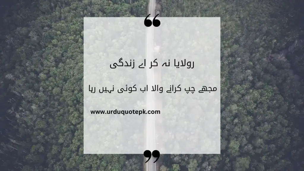 A Picture of forest with Sad Urdu Quotes