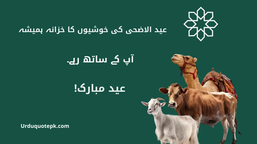 A Picture of Eid Ul Adha Animals with Eid Ul Adha Quotes In Urdu