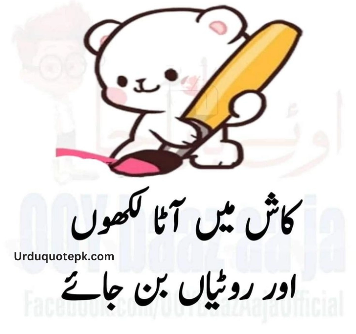 Funny Urdu Quotes 1