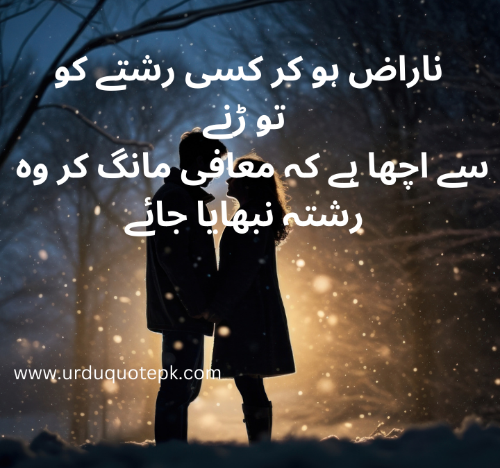 Sorry Quotes in Urdu