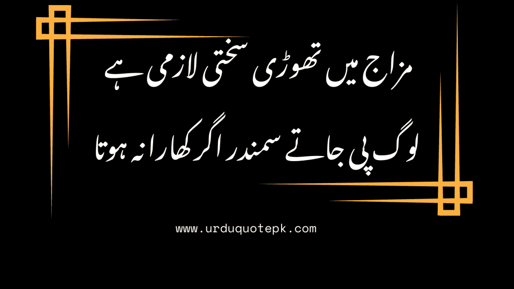 نکلے وہ لوگ میری شخصیت بگاڑنے کردار جن کے خود مرمت مانگ رہے ہیں 6