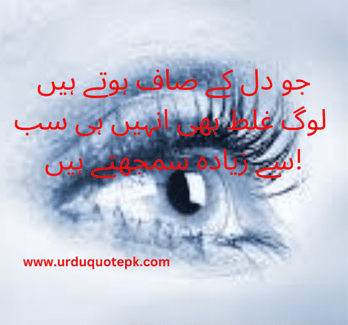 Sorry quotes in urdu poetry sad