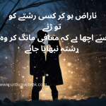 Sorry Quotes in Urdu